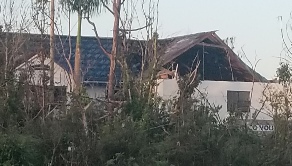 Water Damage experts Near Me